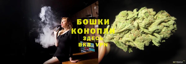 дживик Беломорск