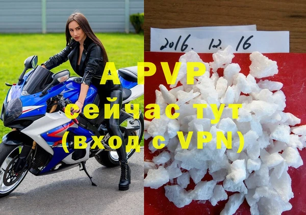 дживик Беломорск