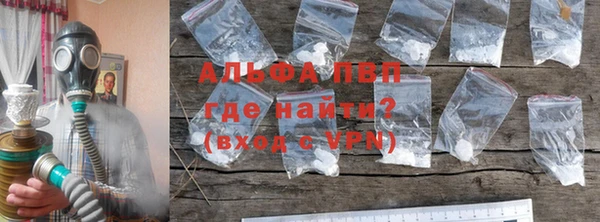 ECSTASY Белокуриха
