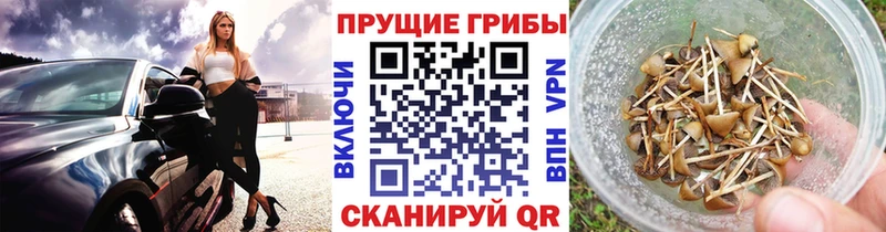 Галлюциногенные грибы Magic Shrooms  Светлогорск 