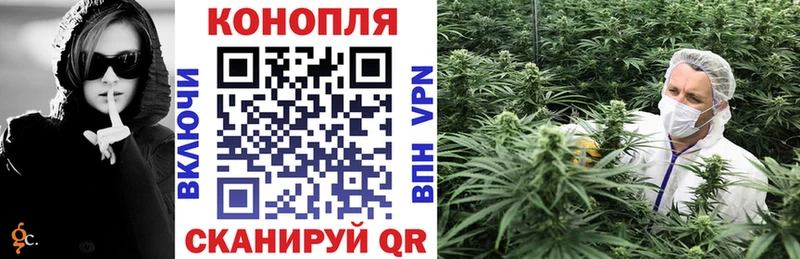 кракен сайт  Светлогорск  Конопля конопля 